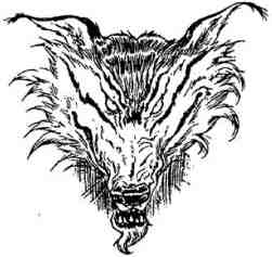 Иллюстрация к книге — Последний воздушный пират [i_143.jpg]