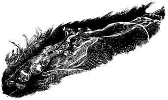 Иллюстрация к книге — Академик Вокс [i_013.jpg]