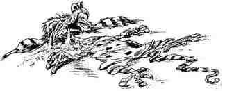 Иллюстрация к книге — Академик Вокс [i_017.jpg]