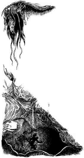 Иллюстрация к книге — Академик Вокс [i_024.jpg]