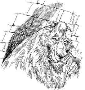 Иллюстрация к книге — Академик Вокс [i_027.jpg]