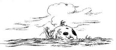 Иллюстрация к книге — Академик Вокс [i_032.jpg]