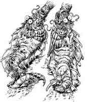 Иллюстрация к книге — Академик Вокс [i_034.jpg]