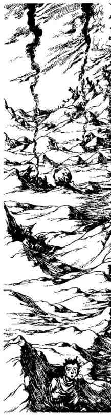 Иллюстрация к книге — Вольная Пустошь [i_013.jpg]