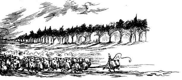 Иллюстрация к книге — Вольная Пустошь [i_019.jpg]