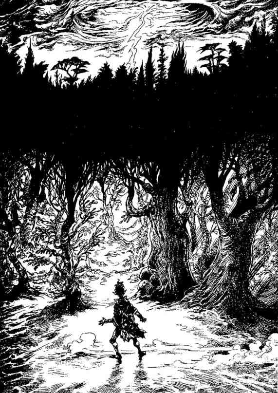 Иллюстрация к книге — Вольная Пустошь [i_027.jpg]