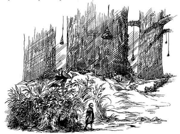 Иллюстрация к книге — Вольная Пустошь [i_039.jpg]