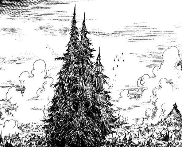 Иллюстрация к книге — Вольная Пустошь [i_040.jpg]