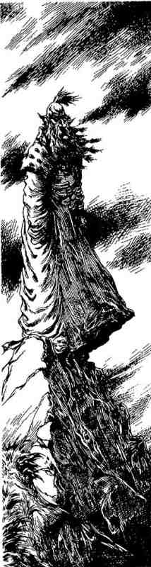 Иллюстрация к книге — Вольная Пустошь [i_075.jpg]