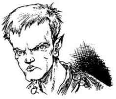 Иллюстрация к книге — Вольная Пустошь [i_100.jpg]