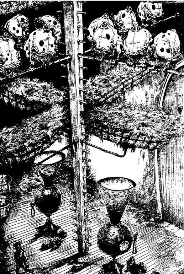 Иллюстрация к книге — Зимние рыцари [i_051.jpg]