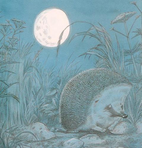 Иллюстрация к книге — Подарки в День Рождения [i_006.jpg]