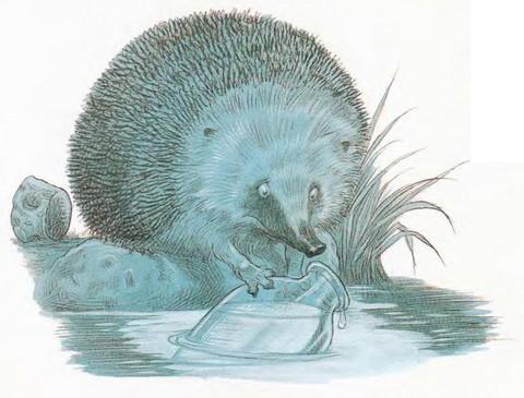 Иллюстрация к книге — Подарки в День Рождения [i_009.jpg]