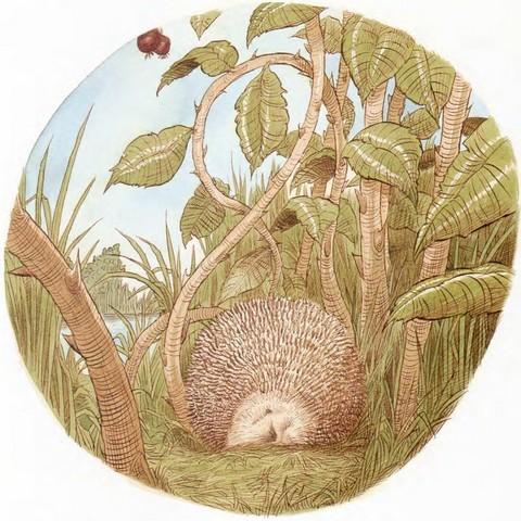 Иллюстрация к книге — Подарки в День Рождения [i_012.jpg]