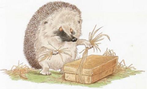 Иллюстрация к книге — Подарки в День Рождения [i_019.jpg]