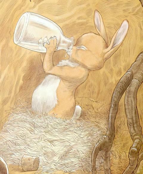 Иллюстрация к книге — Подарки в День Рождения [i_023.jpg]