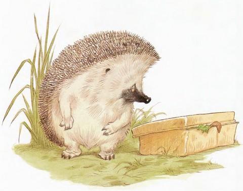 Иллюстрация к книге — Подарки в День Рождения [i_024.jpg]