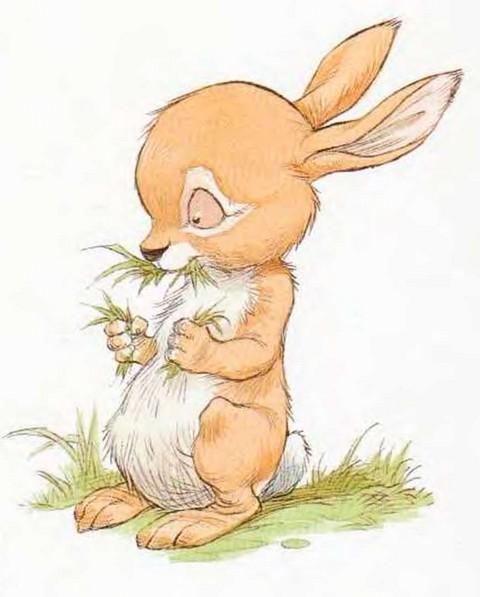 Иллюстрация к книге — Мечты сбываются [i_004.jpg]