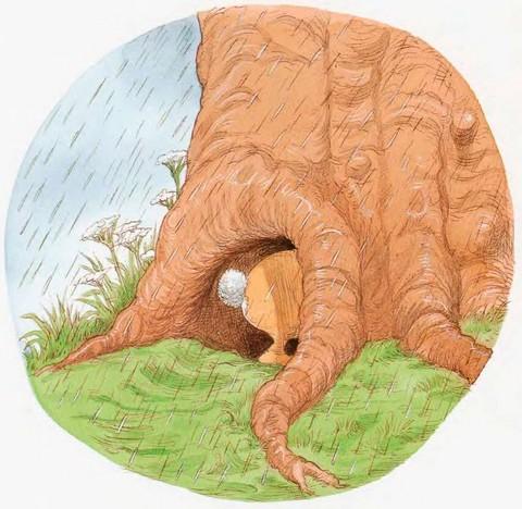 Иллюстрация к книге — Мечты сбываются [i_009.jpg]