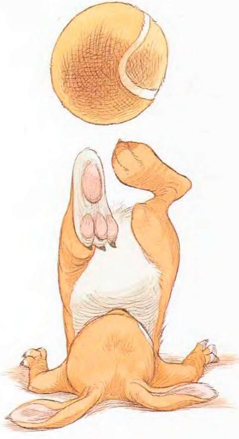 Иллюстрация к книге — Мечты сбываются [i_014.jpg]