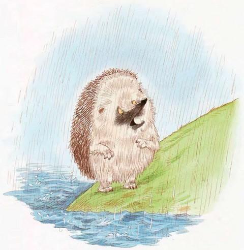 Иллюстрация к книге — Мечты сбываются [i_022.jpg]