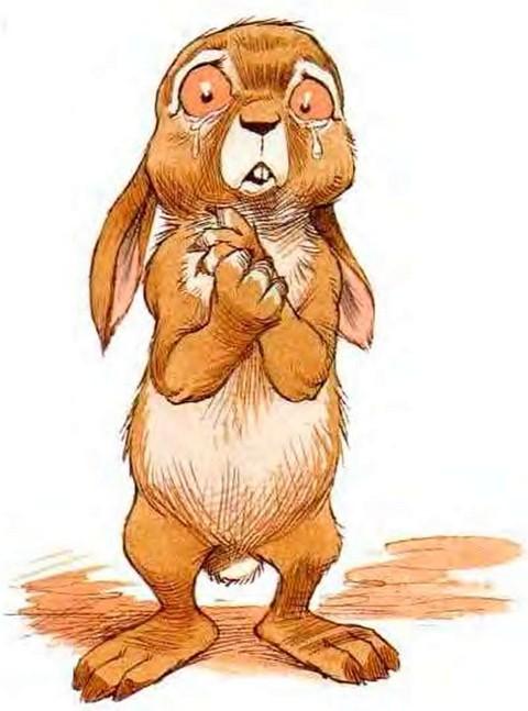 Иллюстрация к книге — Кусочек зимы [i_009.jpg]