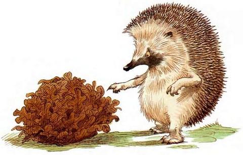 Иллюстрация к книге — Кусочек зимы [i_025.jpg]