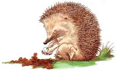 Иллюстрация к книге — Кусочек зимы [i_029.jpg]