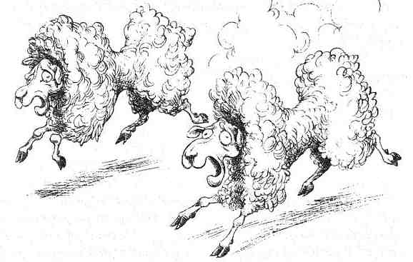 Иллюстрация к книге — Джо Варвар и Чвокая Шмарь [i_031.jpg]