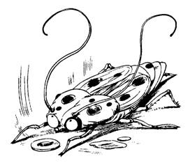 Иллюстрация к книге — Пришельцы с Плюха [i_004.jpg]