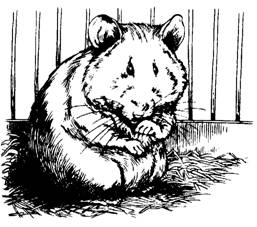 Иллюстрация к книге — Пришельцы с Плюха [i_036.jpg]