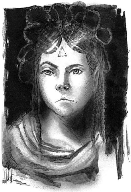 Иллюстрация к книге — Ворон, колдунья и старая лестница [i_001.png]