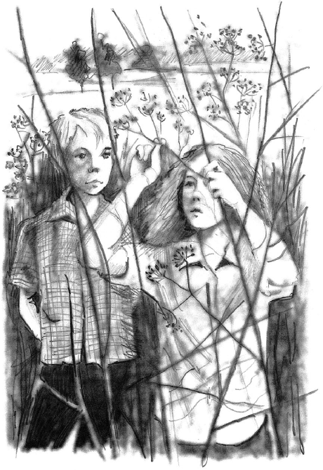 Иллюстрация к книге — Ворон, колдунья и старая лестница [i_002.png]