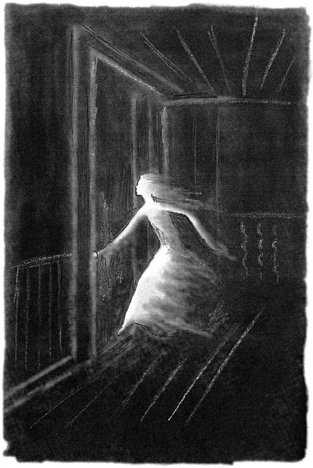 Иллюстрация к книге — Ворон, колдунья и старая лестница [i_005.png]