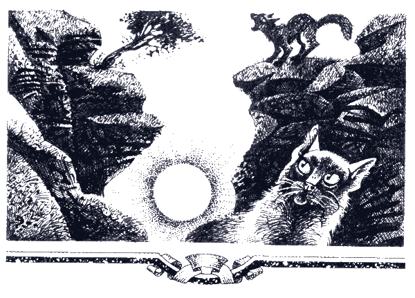 Иллюстрация к книге — Судьба Небесного племени. Сомнение [i_003.png]