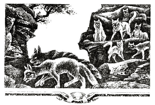 Иллюстрация к книге — Судьба Небесного племени. Сомнение [i_005.png]