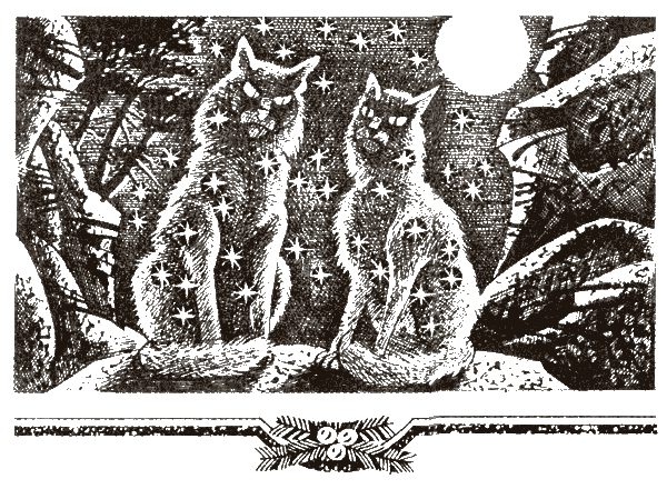 Иллюстрация к книге — Судьба Небесного племени. Сомнение [i_017.png]