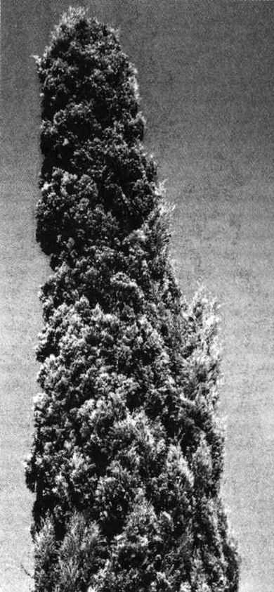 Иллюстрация к книге — Искусство путешествовать [i_033.jpg]