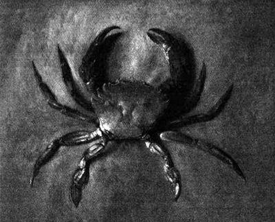 Иллюстрация к книге — Искусство путешествовать [i_044.jpg]