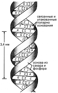 Иллюстрация к книге — На фейсбуке с сыном [i_003.png]