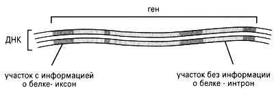 Иллюстрация к книге — На фейсбуке с сыном [i_004.png]
