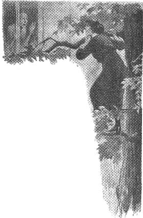 Иллюстрация к книге — Генеральская дочка [untitled9kopirovat.jpg]