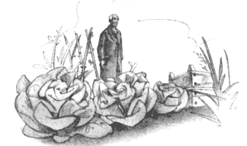 Иллюстрация к книге — Драконы Обыкновенной фермы [i_018.png]