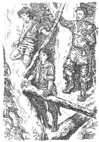 Иллюстрация к книге — Лес безмолвия [pic15.jpg]