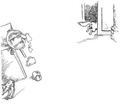 Иллюстрация к книге — Город крыс [i_015.jpg]