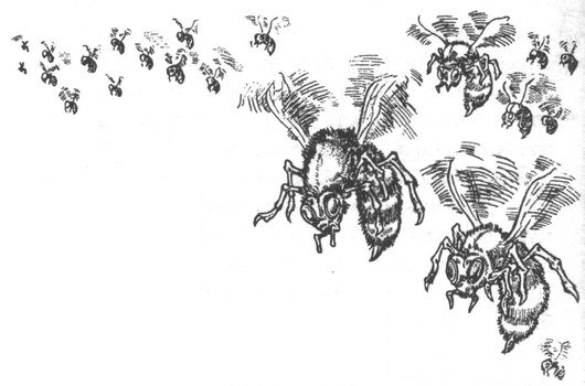 Иллюстрация к книге — Зыбучие пески [i_004.jpg]