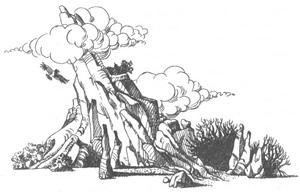 Иллюстрация к книге — Роуэн из Рина [_15.jpg]