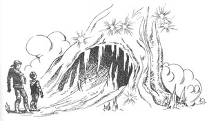 Иллюстрация к книге — Роуэн из Рина [_44.jpg]