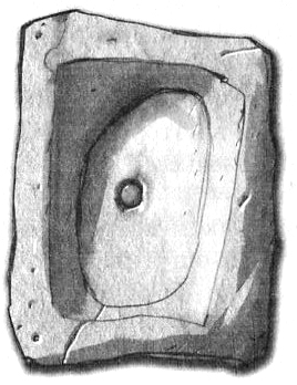 Иллюстрация к книге — Джено и белая руна золотого сокола [i_003.jpg]