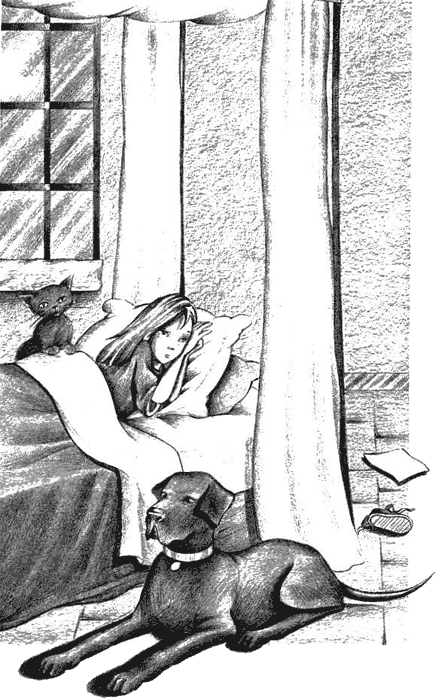 Иллюстрация к книге — Нина и загадка Восьмой Ноты [img054.png]